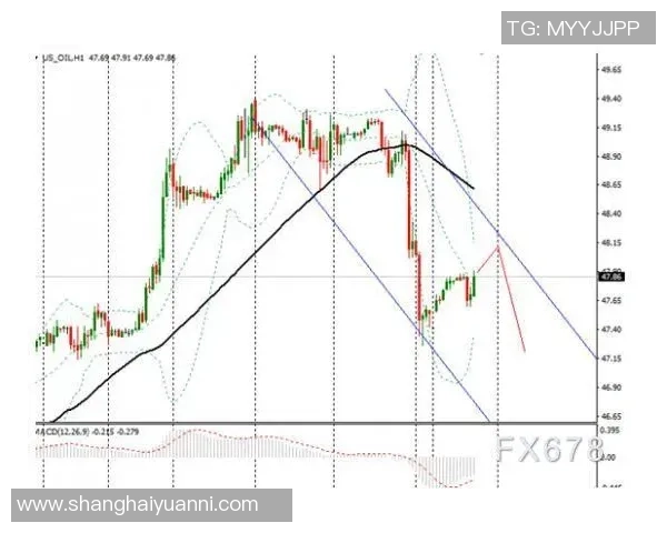帕尼尼足球星卡价格解析及市场走势分析